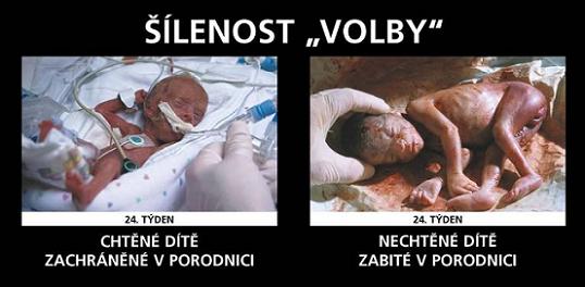 šílenost volby